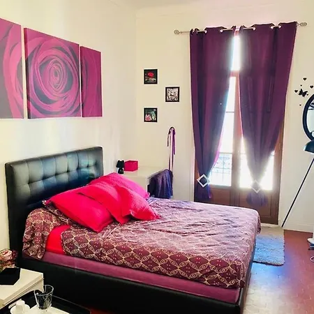 Apartment Hyper Centre